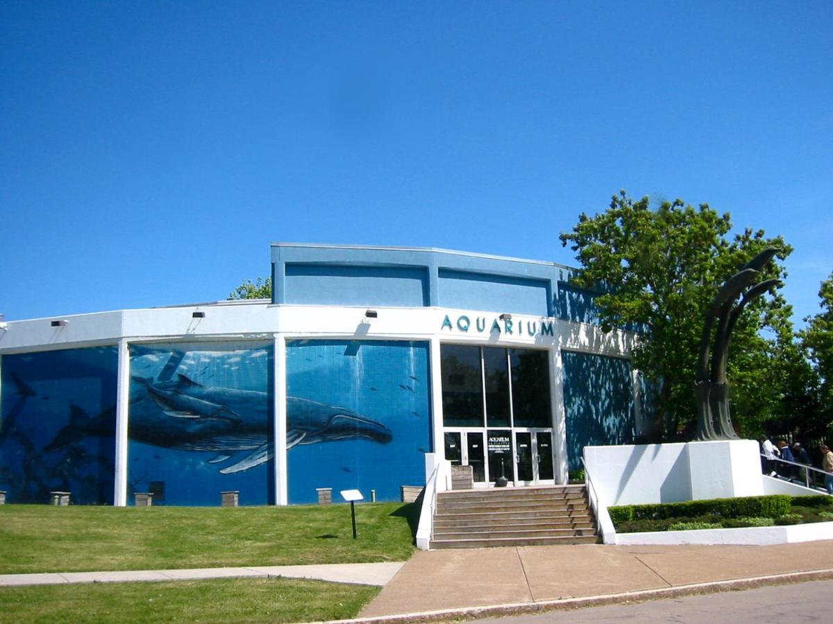 Falls Retreat - Walk To The Falls, The Casino And All Downtown Restaurants - Across From The Aquarium Niagara Falls Exteriér fotografie